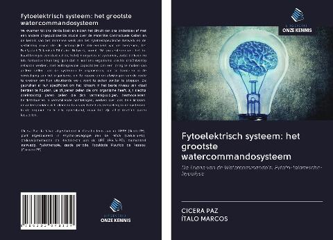 Fytoelektrisch systeem: het grootste watercommandosysteem