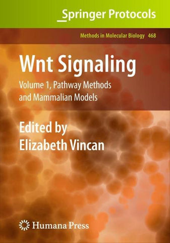 Wnt Signaling