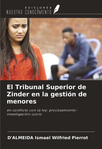 El Tribunal Superior de Zinder en la gestión de menores