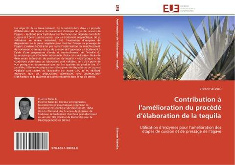 Contribution à l'amélioration du procédé d'élaboration de la tequila