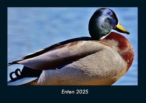 Enten 2025 Fotokalender DIN A4