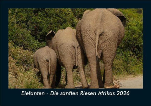 Elefanten - Die sanften Riesen Afrikas 2026 Fotokalender DIN A5