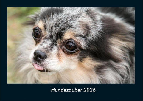 Hundezauber 2026 Fotokalender DIN A4