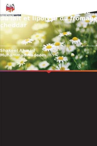 Fractions à bas point de fusion de la matière grasse du lait et lipolyse du fromage cheddar