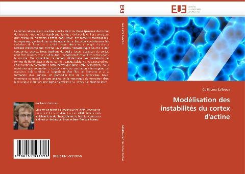 Modélisation des instabilités du cortex d''actine
