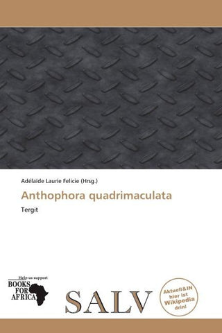 Anthophora quadrimaculata