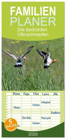 Familienplaner 2026 - Die bedrohten Uferschnepfen mit 5 Spalten (Wandkalender, 21 x 45 cm) CALVENDO
