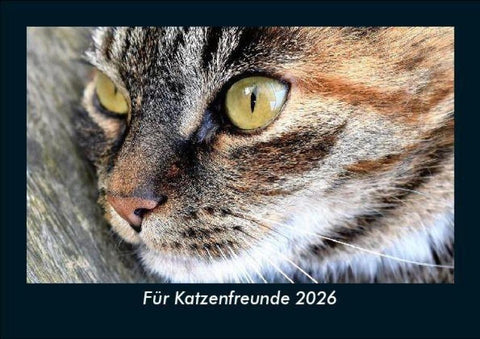 Für Katzenfreunde 2026 Fotokalender DIN A5