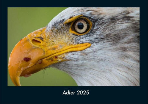 Adler 2025 Fotokalender DIN A4