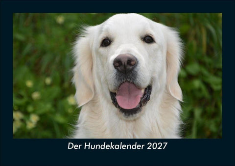 Der Hundekalender 2027 Fotokalender DIN A5