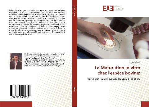 La Maturation in vitro chez l'espèce bovine: