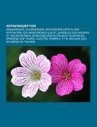 Antikenrezeption