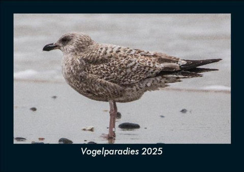 Vogelparadies 2025 Fotokalender DIN A5