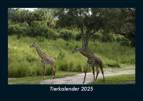 Tierkalender 2025 Fotokalender DIN A5