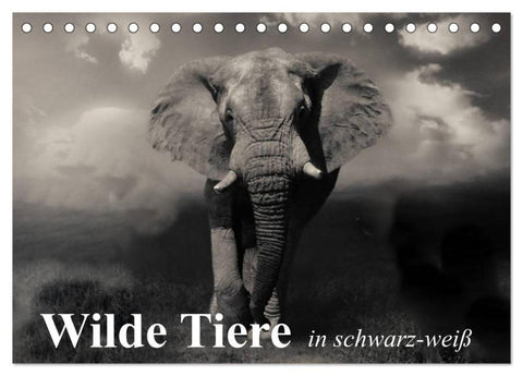 Wilde Tiere in schwarz-weiß (Tischkalender 2026 DIN A5 quer), CALVENDO Monatskalender