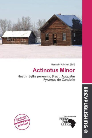 Actinotus Minor