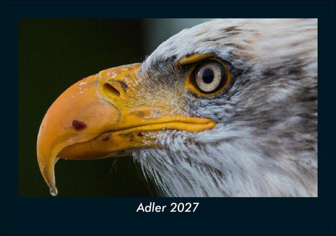 Adler 2027 Fotokalender DIN A5
