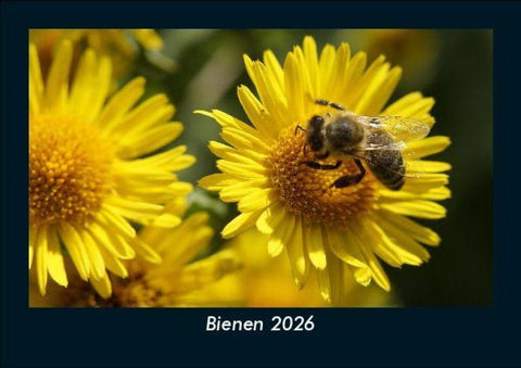 Bienen 2026 Fotokalender DIN A5