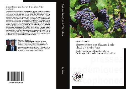 Biosynthèse des flavan-3-ols chez Vitis vinifera