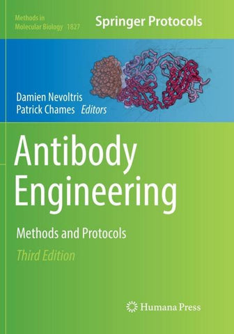 Antibody Engineering
