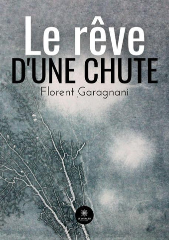 Le rêve d'une chute