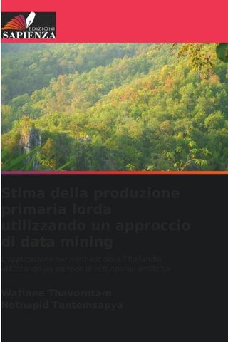 Stima della produzione primaria lorda utilizzando un approccio di data mining