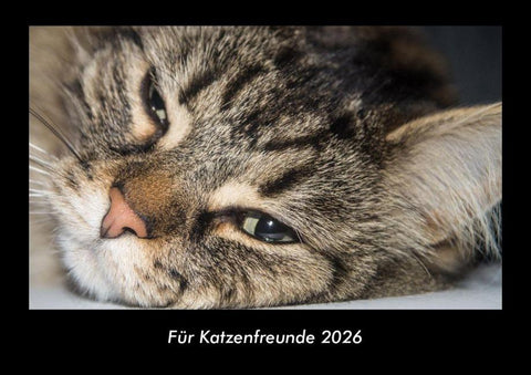 Für Katzenfreunde 2026 Fotokalender DIN A3