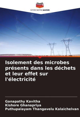 Isolement des microbes présents dans les déchets et leur effet sur l'électricité