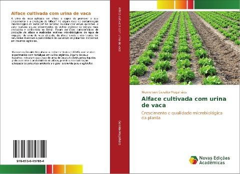 Alface cultivada com urina de vaca