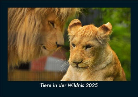 Tiere in der Wildnis 2025 Fotokalender DIN A5