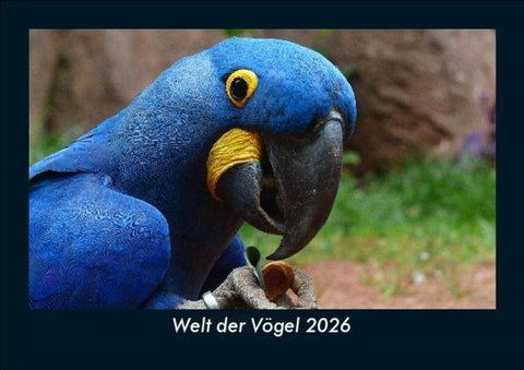 Welt der Vögel 2026 Fotokalender DIN A5