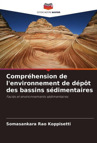 Compréhension de l'environnement de dépôt des bassins sédimentaires