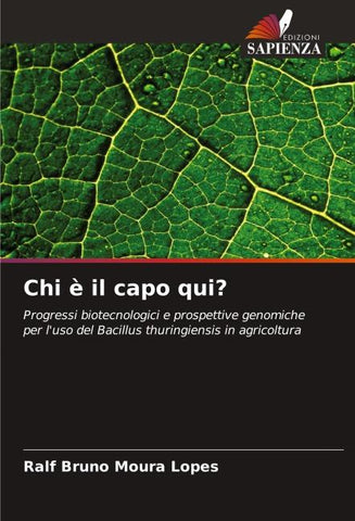 Chi è il capo qui?