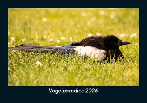 Vogelparadies 2026 Fotokalender DIN A5