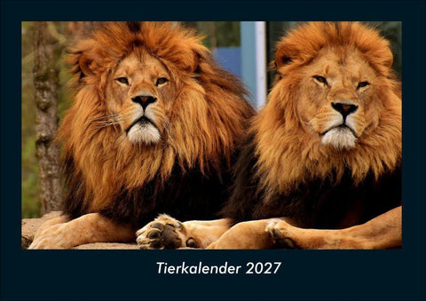 Tierkalender 2027 Fotokalender DIN A4
