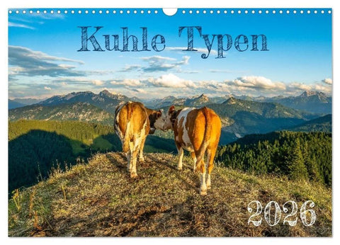 Kuhle Typen (Wandkalender 2026 DIN A3 quer), CALVENDO Monatskalender