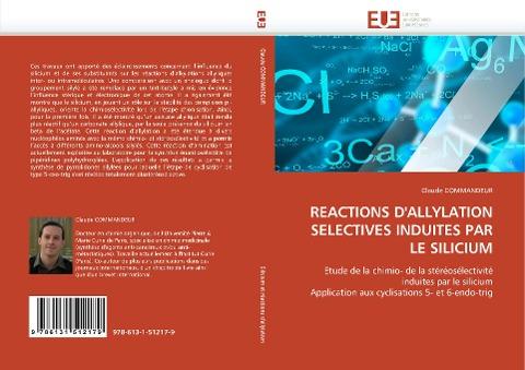REACTIONS D''ALLYLATION SELECTIVES INDUITES PAR LE SILICIUM