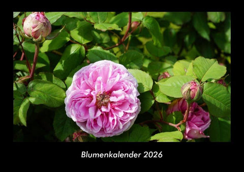 Blumenkalender 2026 Fotokalender DIN A3