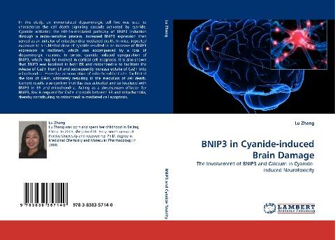 BNIP3 in Cyanide-induced Brain Damage