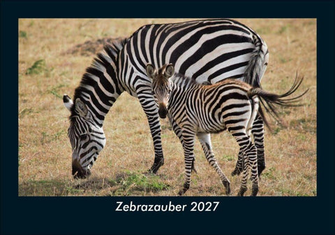 Zebrazauber 2027 Fotokalender DIN A5