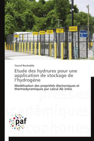 Etude des hydrures pour une application de stockage de l'hydrogène