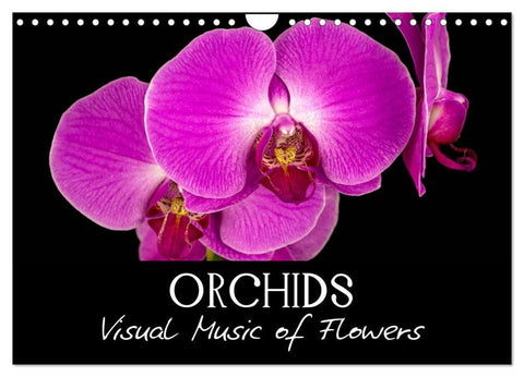 Orchids (Wall Calendar 2026 DIN A4 landscape), CALVENDO 12 Month Wall Calendar