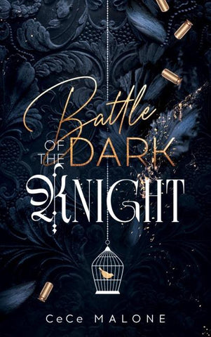 Battle of the dark Knight