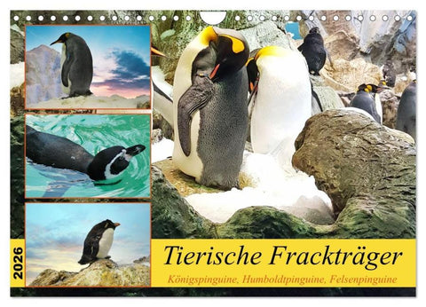 Tierische Frackträger (Wandkalender 2026 DIN A4 quer), CALVENDO Monatskalender