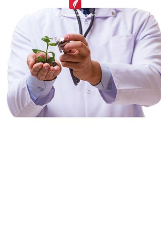 PRODUÇÃO E PROPRIEDADES QUÍMICO-COLOIDAIS DE HIDROGÉIS À BASE DE RESÍDUOS