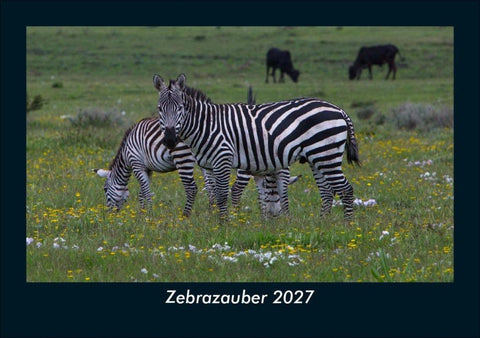 Zebrazauber 2027 Fotokalender DIN A5