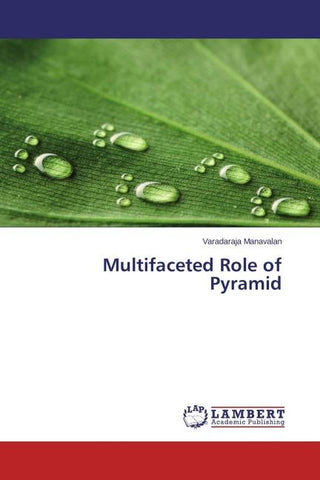 Multifaceted Role of Pyramid