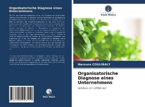 Organisatorische Diagnose eines Unternehmens