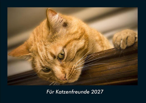 Für Katzenfreunde 2027 Fotokalender DIN A4