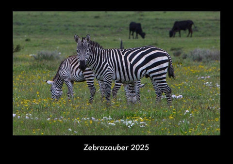 Zebrazauber 2025 Fotokalender DIN A3